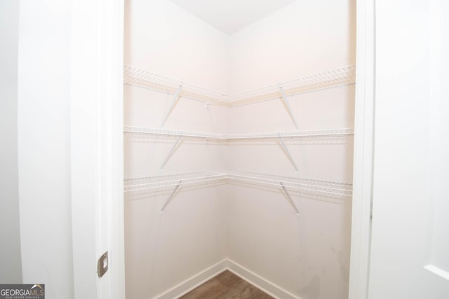 walk in closet featuring hardwood / wood-style floors