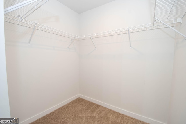 walk in closet with carpet