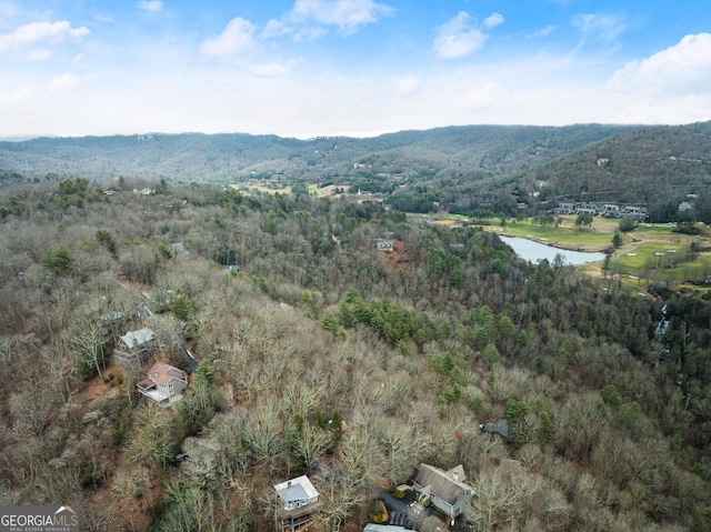 birds eye view of property with a forest view and a water and mountain view