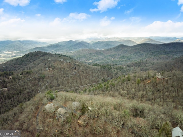 property view of mountains featuring a view of trees