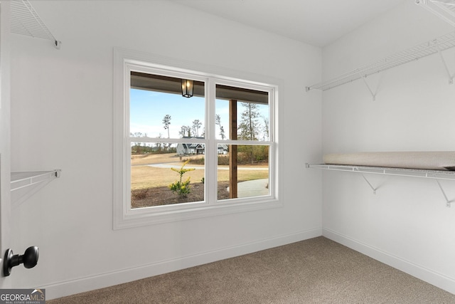 spacious closet featuring carpet flooring