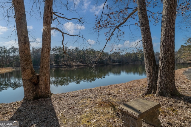 view of water feature