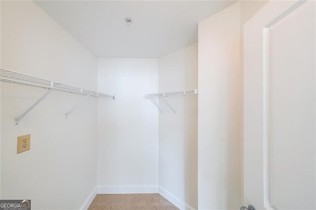 walk in closet featuring carpet flooring