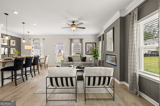 dining area featuring crown molding, ceiling fan, and light hardwood / wood-style flooring