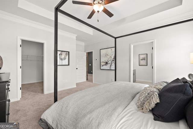 carpeted bedroom featuring crown molding, a spacious closet, a tray ceiling, a closet, and ceiling fan