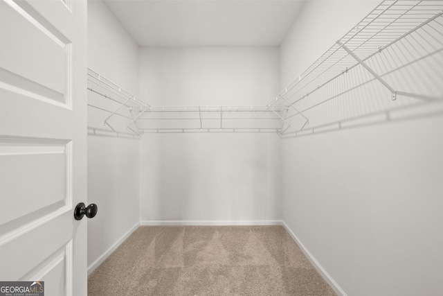 spacious closet with carpet floors