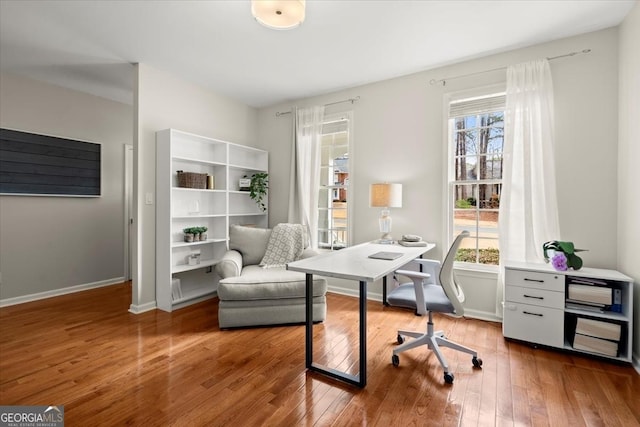 office featuring wood-type flooring