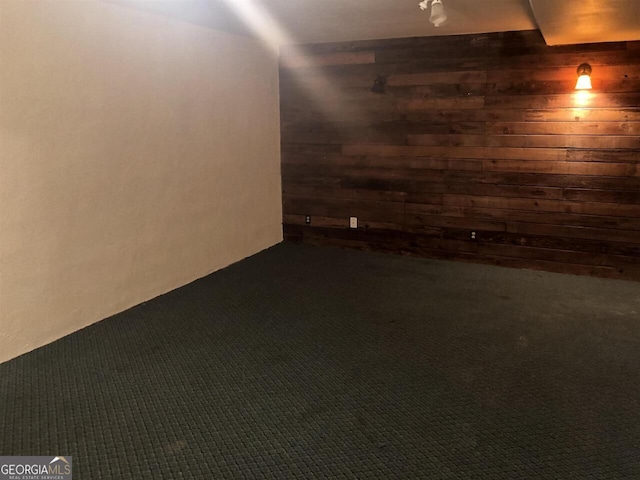 basement with wooden walls and dark carpet