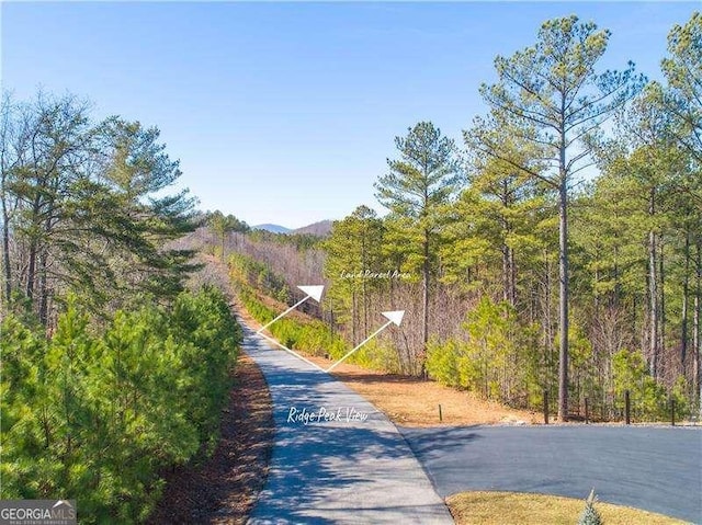 LT74 Ridge Crst, Blairsville GA, 30512 land for sale