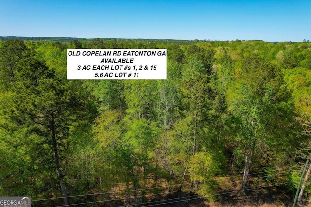 LOT11 Old Copelan Rd, Eatonton GA, 31024 land for sale