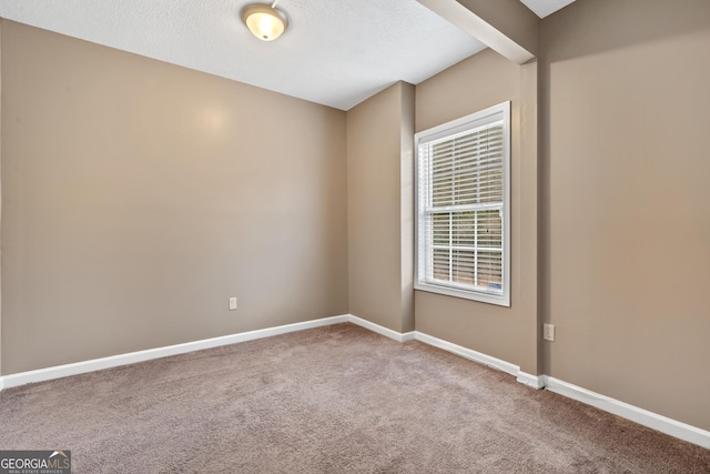 unfurnished room with carpet floors and a textured ceiling