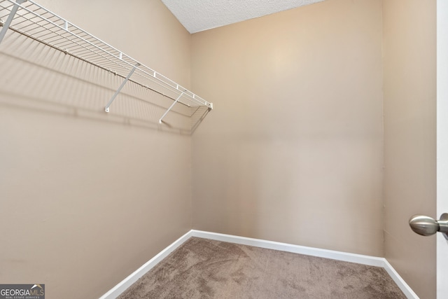 spacious closet with carpet flooring