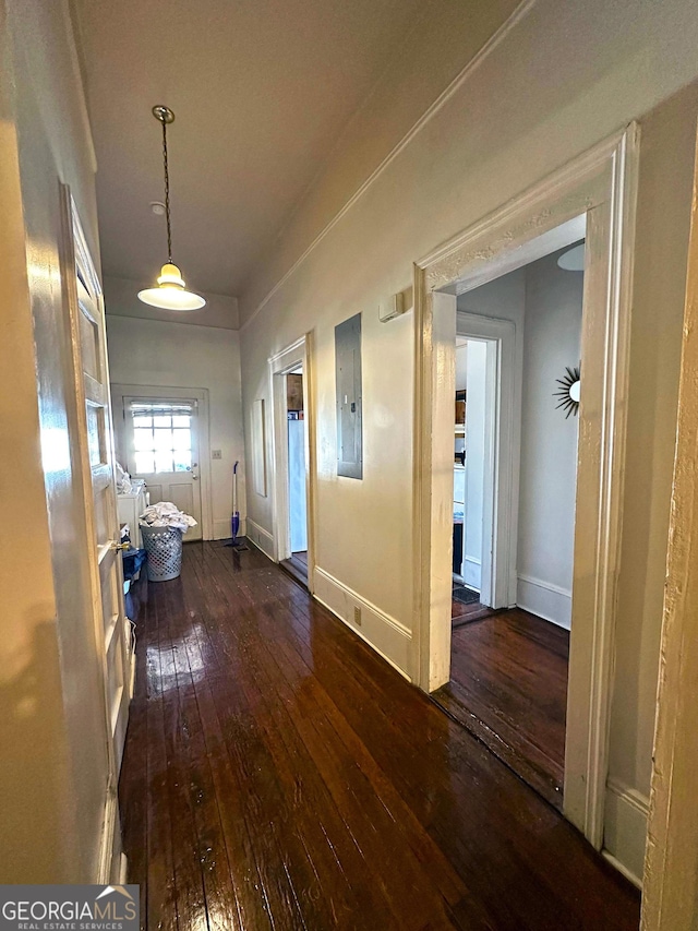 corridor with dark hardwood / wood-style floors and electric panel