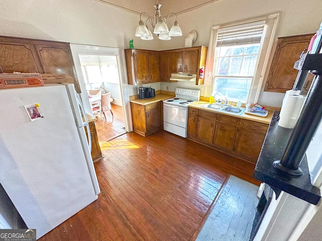 kitchen featuring dark hardwood / wood-style floors, sink, hanging light fixtures, a healthy amount of sunlight, and white appliances