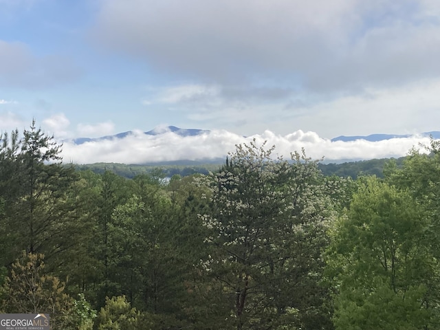 4431 Furman Gribble Rd, Young Harris, GA 30582 - view of mountain background with a heavily wooded area