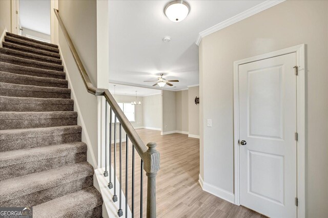 unfurnished bedroom featuring crown molding, a spacious closet, a raised ceiling, and carpet