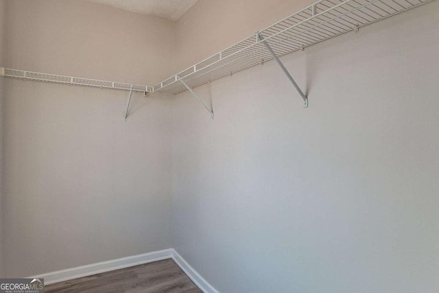 spacious closet with hardwood / wood-style floors