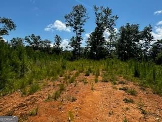 Listing photo 3 for 168 Canoe Pt Lot 177, East Ellijay GA 30540