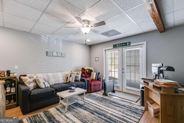 living room featuring a drop ceiling, ceiling fan, and light wood-type flooring