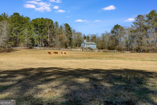 view of yard with a rural view