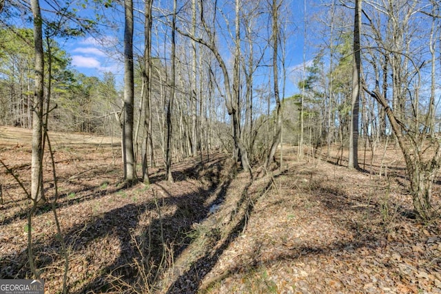 view of local wilderness