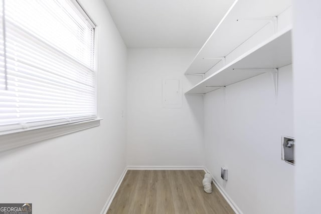 laundry area featuring washer hookup and light hardwood / wood-style flooring