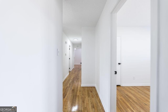 hall featuring light hardwood / wood-style flooring