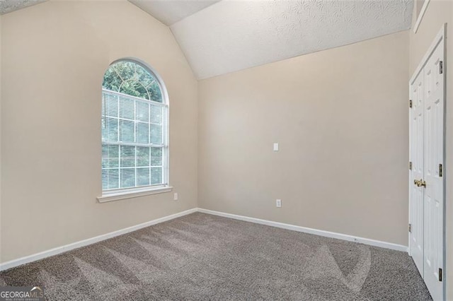 carpeted empty room featuring a healthy amount of sunlight, vaulted ceiling, and a textured ceiling