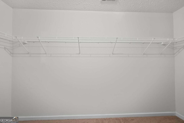 walk in closet with carpet flooring