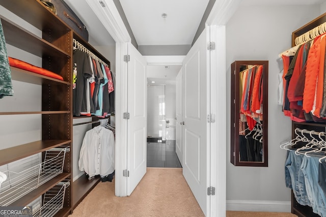 spacious closet with light colored carpet