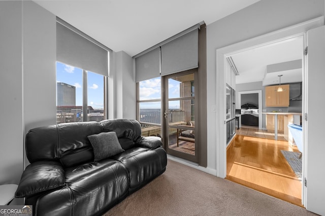 view of carpeted living room