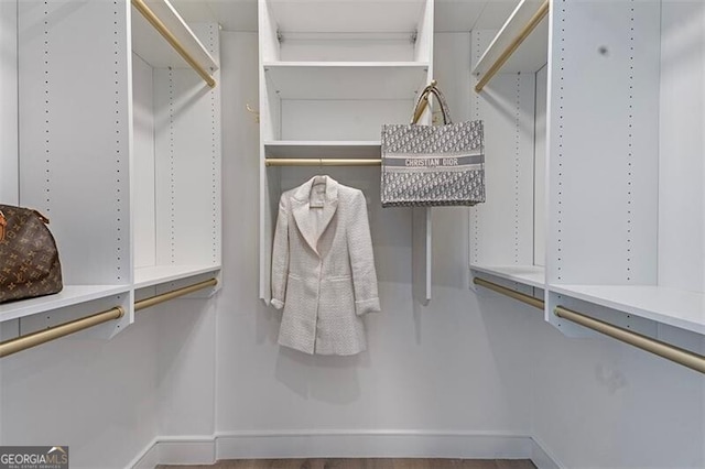 view of walk in closet