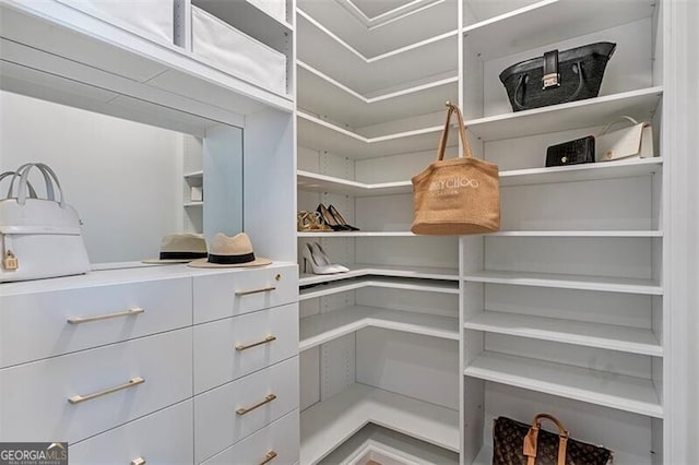 view of walk in closet