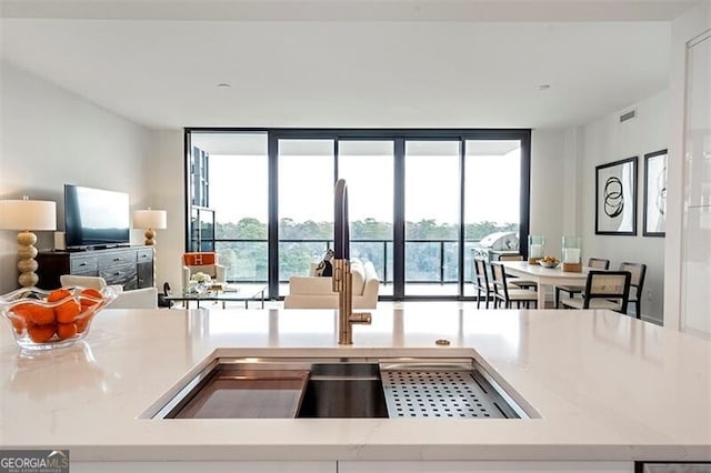 kitchen with floor to ceiling windows and sink