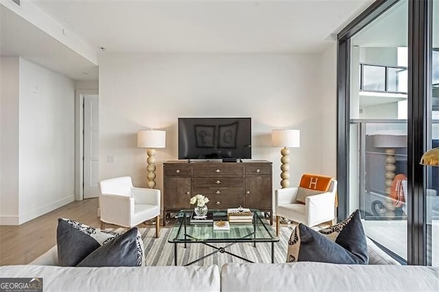 living room featuring light hardwood / wood-style flooring and floor to ceiling windows