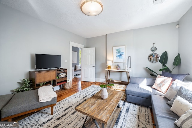 living room featuring wood-type flooring and a textured ceiling