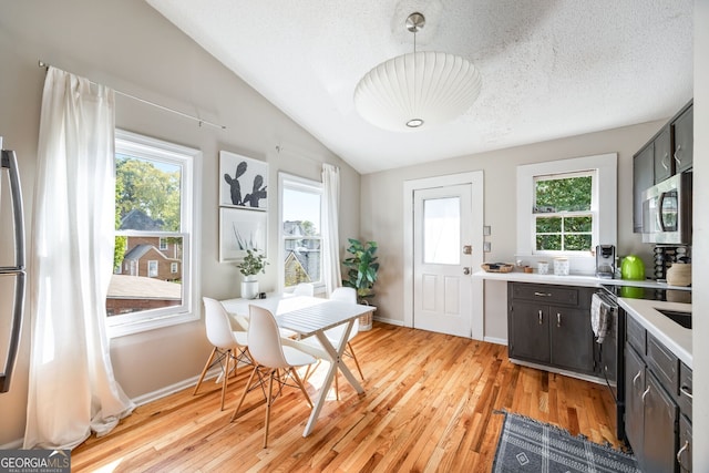 kitchen featuring pendant lighting, appliances with stainless steel finishes, vaulted ceiling, and light hardwood / wood-style flooring