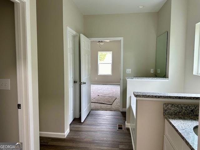 bathroom featuring vanity and wood-type flooring