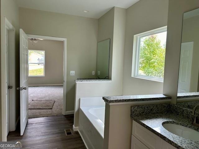 bathroom with hardwood / wood-style floors, vanity, plenty of natural light, and a washtub