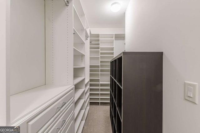 view of spacious closet