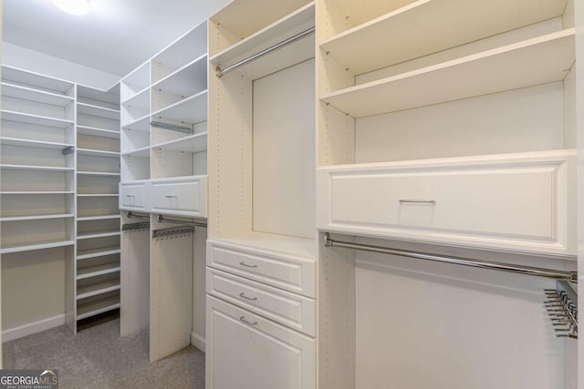 walk in closet featuring carpet flooring