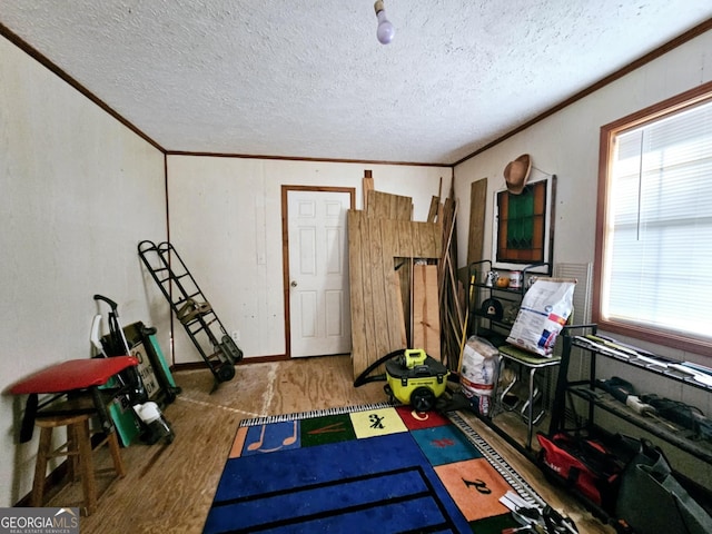 exercise area with wood-type flooring, ornamental molding, and a textured ceiling