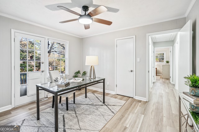 home office with ornamental molding, ceiling fan, and light hardwood / wood-style floors