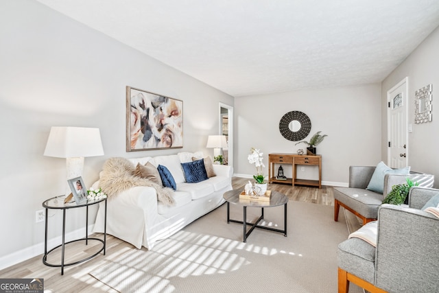 living room with hardwood / wood-style flooring