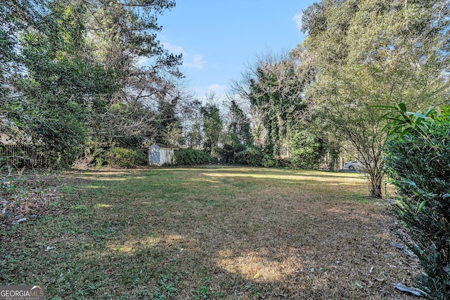 view of yard featuring a shed