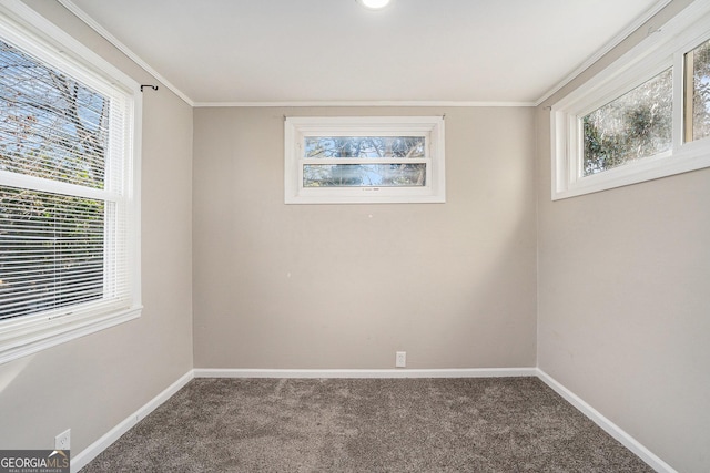 spare room featuring ornamental molding, a healthy amount of sunlight, and carpet floors