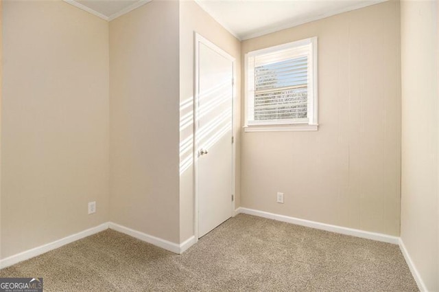 carpeted empty room with crown molding