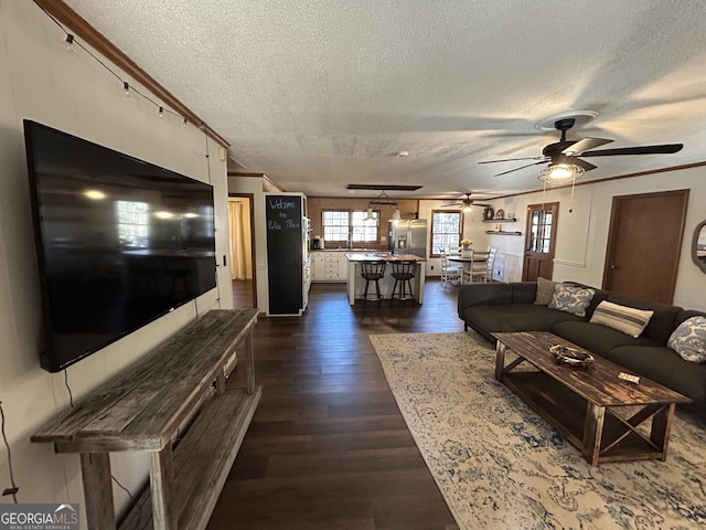 living room featuring dark hardwood / wood-style flooring, ceiling fan, crown molding, and a textured ceiling