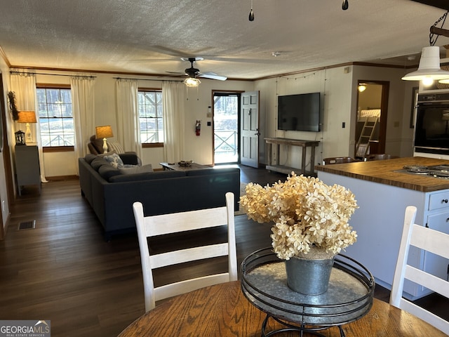 living room with ceiling fan, plenty of natural light, dark hardwood / wood-style floors, and a textured ceiling