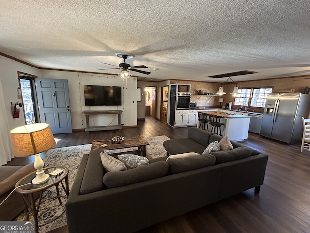 living room with sink, a textured ceiling, dark hardwood / wood-style floors, and ceiling fan